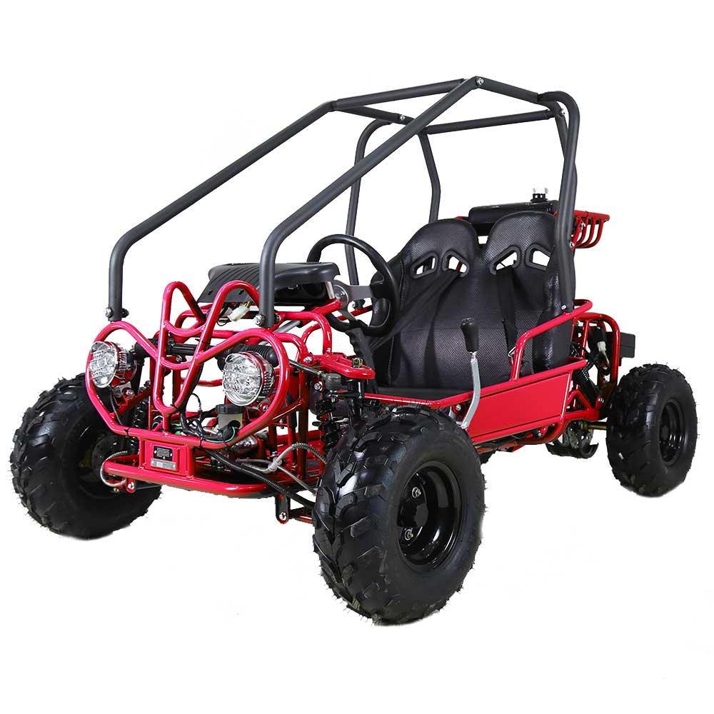 250cc go kart with hot sale reverse